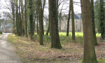 Het Wegdam